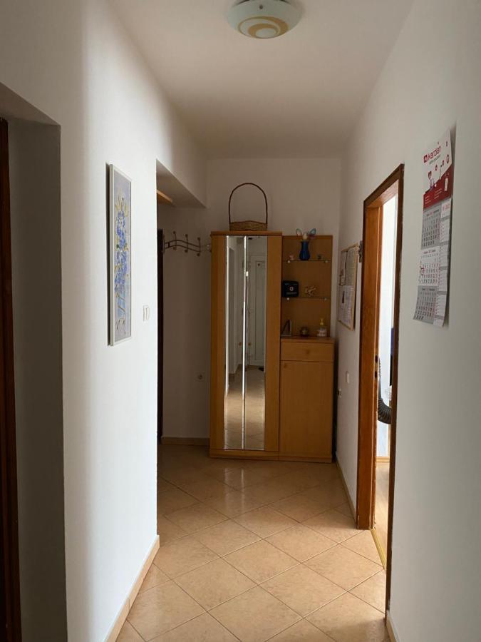 诺维·维诺多尔斯基App Ratkovic公寓 外观 照片